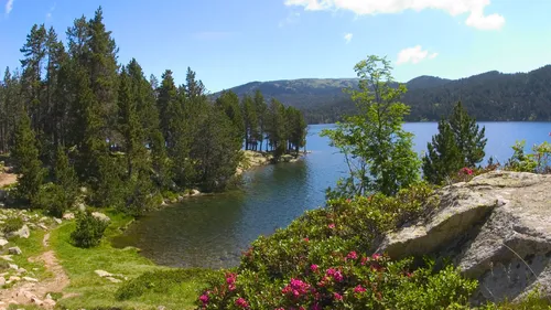 Saison estivale : carton plein pour la montagne 